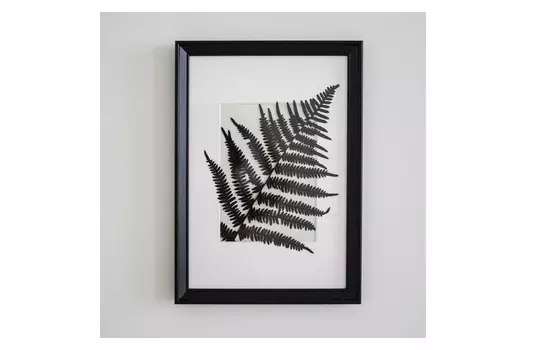 Панно с папоротником (wowbotanica) черный 23x32 см.