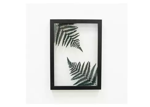 Панно с папоротником (wowbotanica) зеленый 23x32 см.