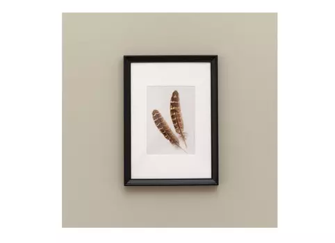 Панно с перьями птиц (wowbotanica) коричневый 23x32 см.