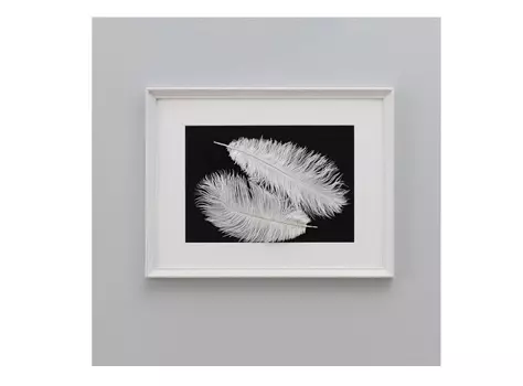 Панно с перьями страуса (wowbotanica) белый 32x42 см.