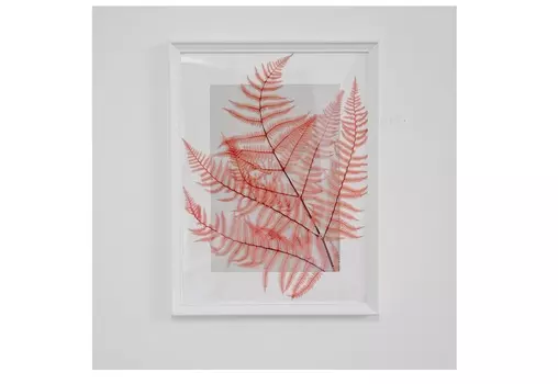 Панно с розовым папоротником (wowbotanica) мультиколор 30x40 см.