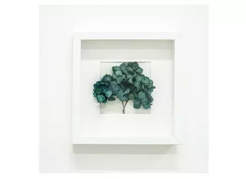 Панно с соцветием гортензии (wowbotanica) голубой 25x25 см.