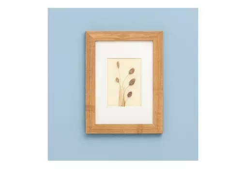 Панно с сухоцветом фаларис (wowbotanica) бежевый 32x42 см.