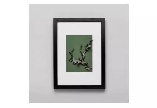 Панно с веточкой кустарника (wowbotanica) черный 23x32 см.