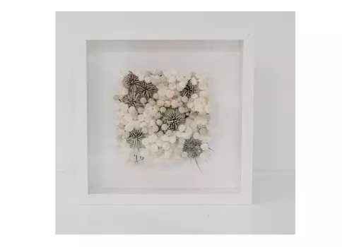 Панно с ворсянкой и брунией (wowbotanica) мультиколор 25x25 см.