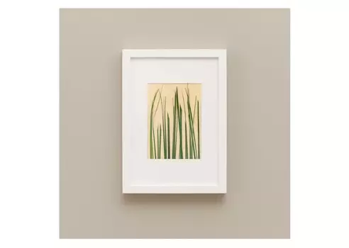 Панно с зеленой травой (wowbotanica) зеленый 23x32 см.