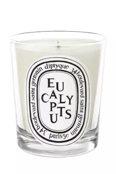Парфюмированная свеча diptyque eucalyptus (diptyque) белый