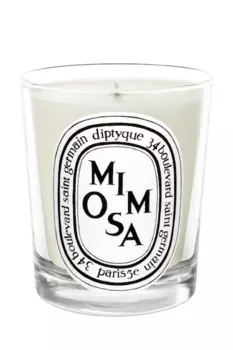Парфюмированная свеча diptyque mimosa (diptyque) белый