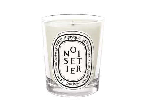 Парфюмированная свеча noisetier 190 гр (diptyque) мультиколор