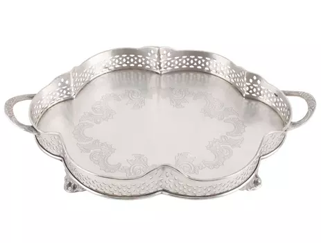 Поднос algarve (to4rooms) серебристый 41.0x7.0x24.0 см.