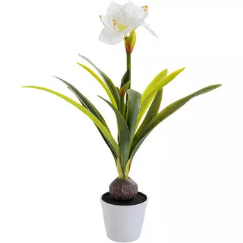 Предмет декоративный amaryllis (kare) зеленый 30x78x30 см.