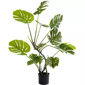 Предмет декоративный monstera (kare) зеленый 50x110x40 см.