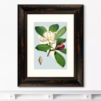 Репродукция картины в раме himalaya plants purple and white flowers , 1869г. (картины в квартиру) зеленый 40x50 см.