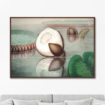 Репродукция картины на холсте form of a gigantic water lily , 1870г. (картины в квартиру) зеленый 105x75 см.