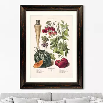 Репродукция картины в раме vilmorin andrieux &amp; cie, альбом №30 , 1879г. (картины в квартиру) мультиколор 60x80 см.