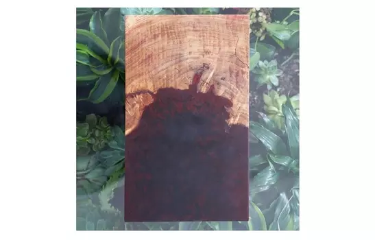 Сервировочная доска (wowbotanica) коричневый 21x35x1 см.