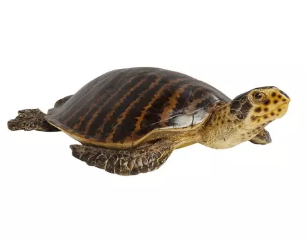 Статуэтка turtle (kare) коричневый 88x23x59 см.