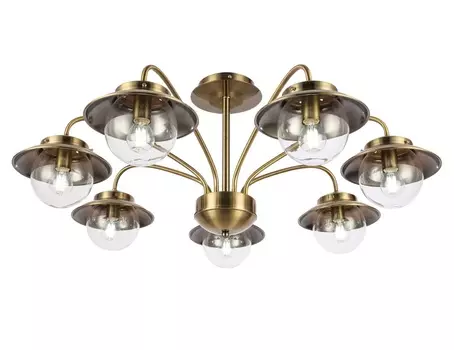 Светильник потолочный garonni (evoluce) прозрачный