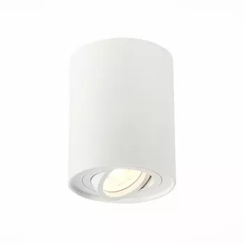 Светильник потолочный torus (st luce) белый 12 см.