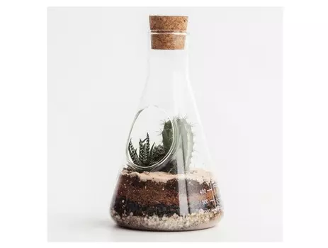 Террариум chemistry (suck uk) прозрачный 22 см.