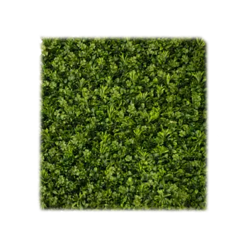 Трава искусственная faboideae (desondo) зеленый