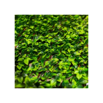 Трава искусственная mýrtus commúnis на прутьях (desondo) зеленый