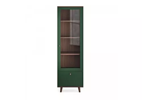 Узкая витрина tw162 (the idea) зеленый 58x194x45 см.