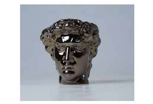 Ваза голова венеры (starbarrel) бронзовый 18x20x22 см.