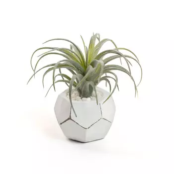 Воздушная трава zelena (la forma) зеленый 13x13x13 см.