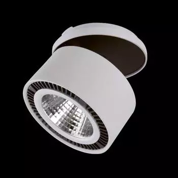 Встраиваемый спот lightstar forte inca 213829 (lightstar) серый 117 см.