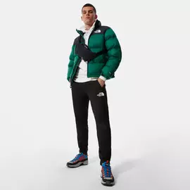 МУЖСКАЯ КУРТКА 1996 RETRO NUPTSE PACKABLE