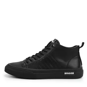 BRIGGS