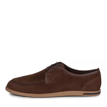 Дерби SALAMANDER