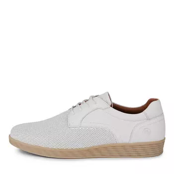 Дерби SALAMANDER