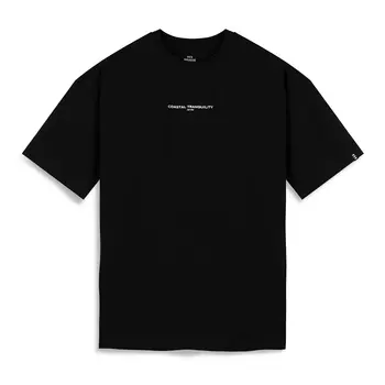 Футболка BRIGGS