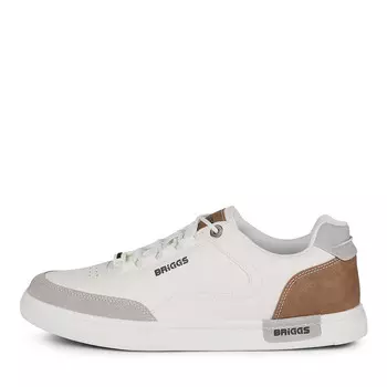 BRIGGS