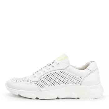 Кроссовки BRIGGS