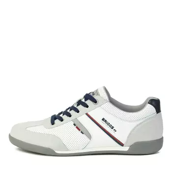 Кроссовки BRIGGS