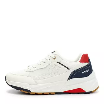 Кроссовки BRIGGS