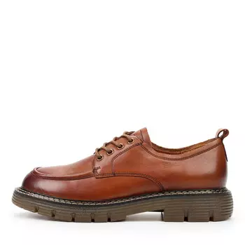 Дерби SALAMANDER