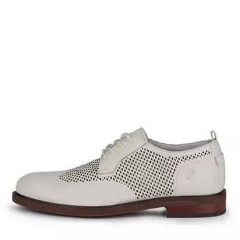 Дерби SALAMANDER