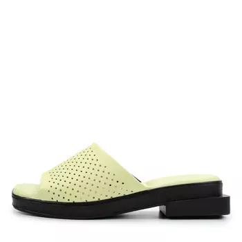 Сабо Thomas Munz