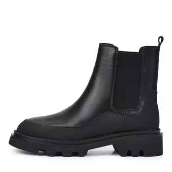 SALAMANDER