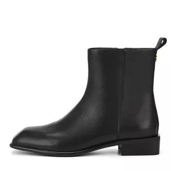 SALAMANDER