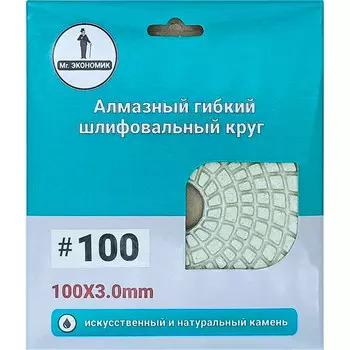 Круг шлифовальный по камню Mr. Экономик "Черепашка" №100 100мм