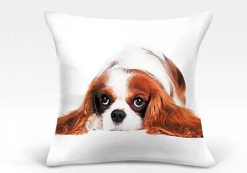 966353