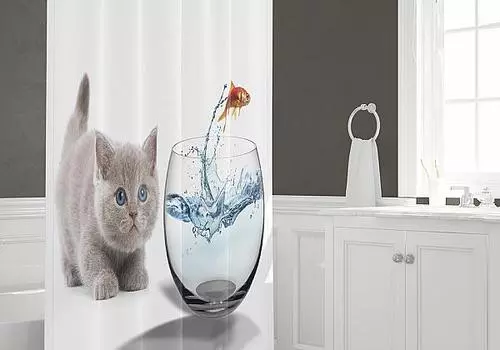 Коутис