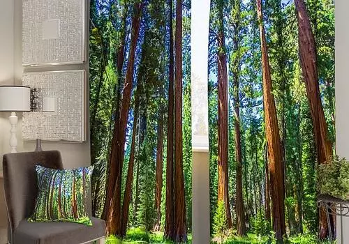 Лесные красоты