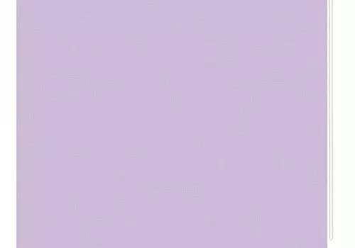 Миниролл Апилера (аметистовый)