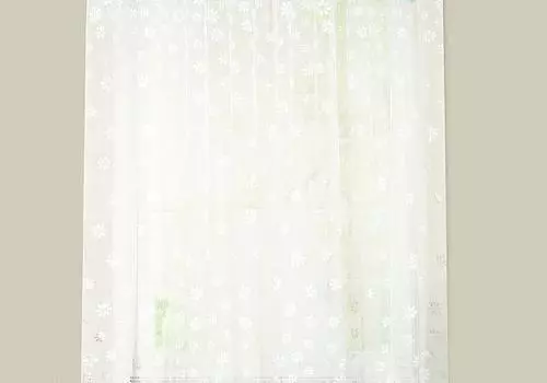 Моном